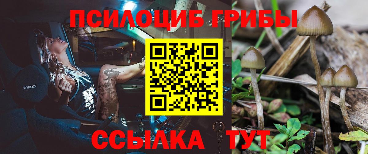 Галлюциногенные грибы MAGIC MUSHROOMS Тихвин