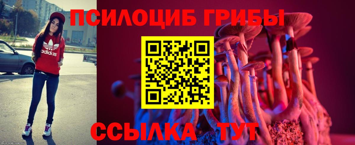 Тихвин  Галлюциногенные грибы ЛСД  Псилоцибиновые грибы мицелий  Вход с VPN 
