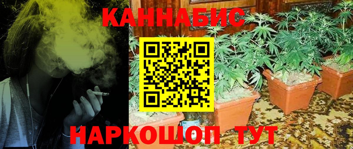МАРИХУАНА THC 21%  Марихуана Ganja  Тихвин  Вход с VPN  Канабис конопля 